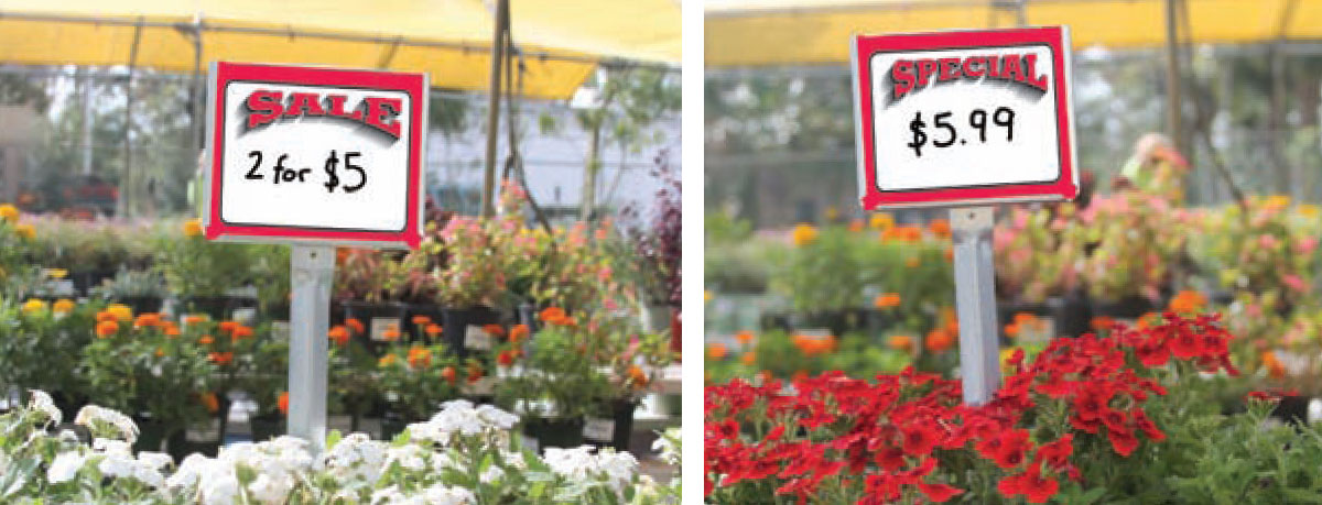 Special Sale Signs