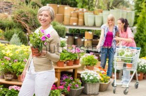 stock photo senior lady shopping for flowers at garden centre smiling 106365458